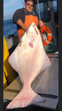 alaska halibut on fishing armory 50cal bullet lure