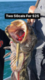 2 for $25 Sale! - The Fishing Armory