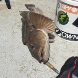 2 for $25 Sale! - The Fishing Armory